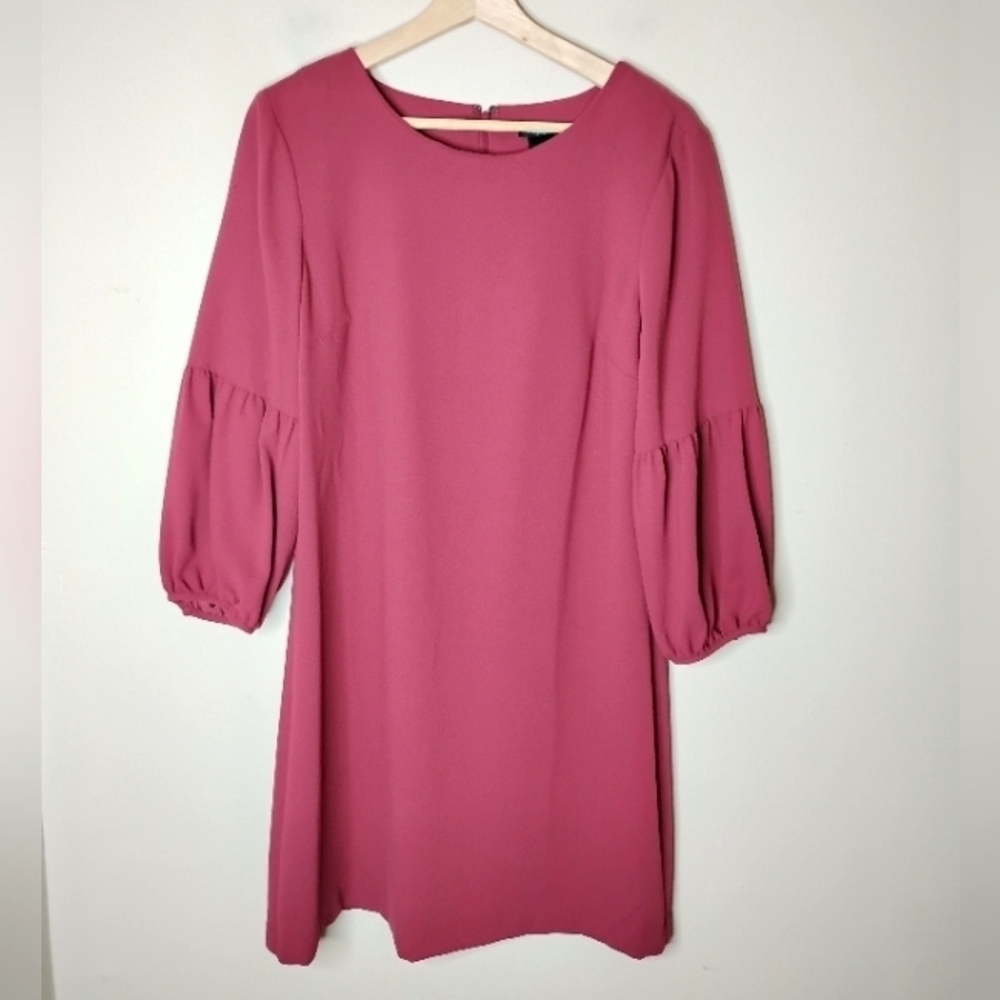 NWT Ann Taylor Shift Dress - Picture 4 of 11